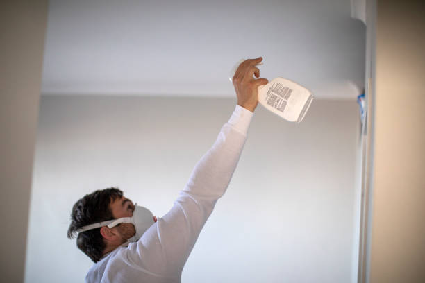 Best Mold Remediation Services  in Lexington, VA