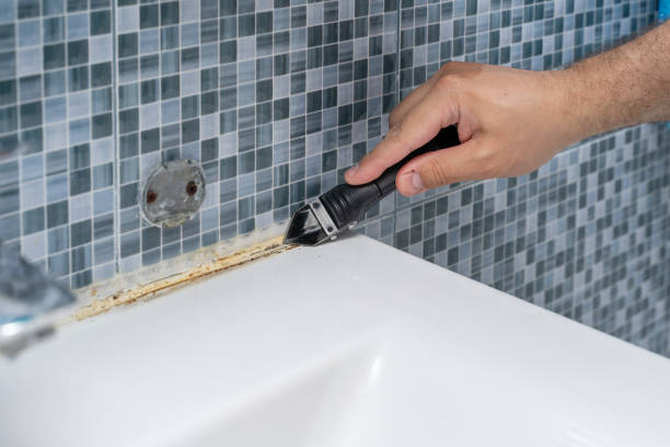 Best Best Mold Removal Companies  in Lexington, VA