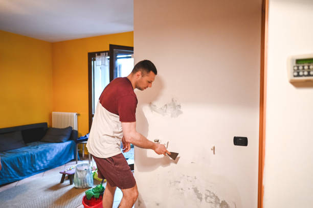 Best Mold Cleaning Services  in Lexington, VA