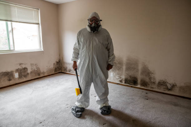 Best Same-Day Mold Removal  in Lexington, VA